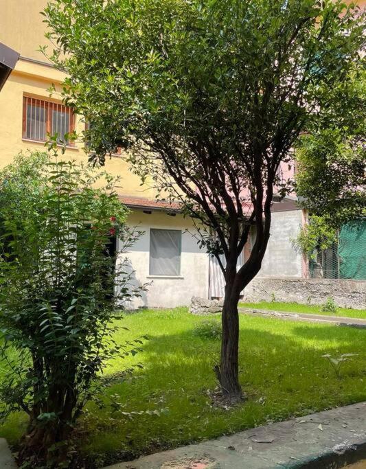 Ferienwohnung Il Giardino Nascosto Omegna Exterior foto
